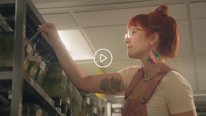 Kaitlyn final thumbnail