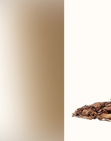 L Oreal And Albea Launch The First Cosmetic Tube Integrating Certified Paper Based Material