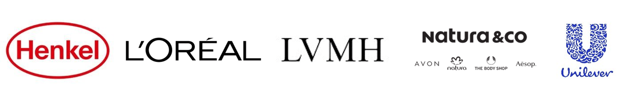 LVMH Perfume and Cosmetics Group Brand Portfolio