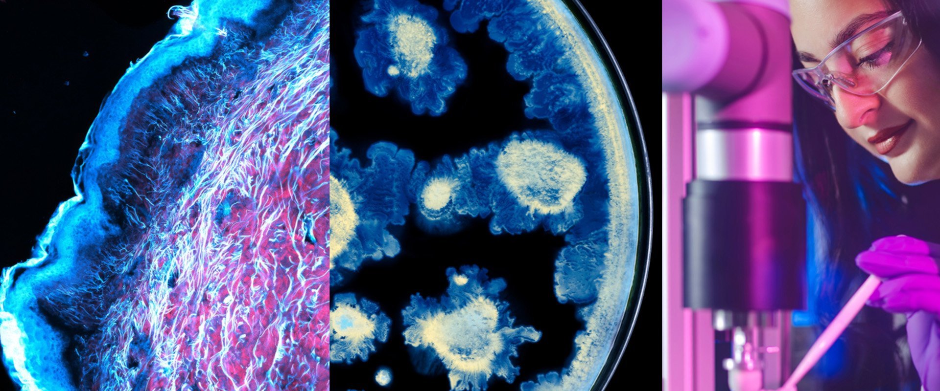 loreal-x-institut-pasteur--loreal.jpg?rev=e859794a7a554d38a7aa5904c2d5a0f8&profile=RESIZE_584x