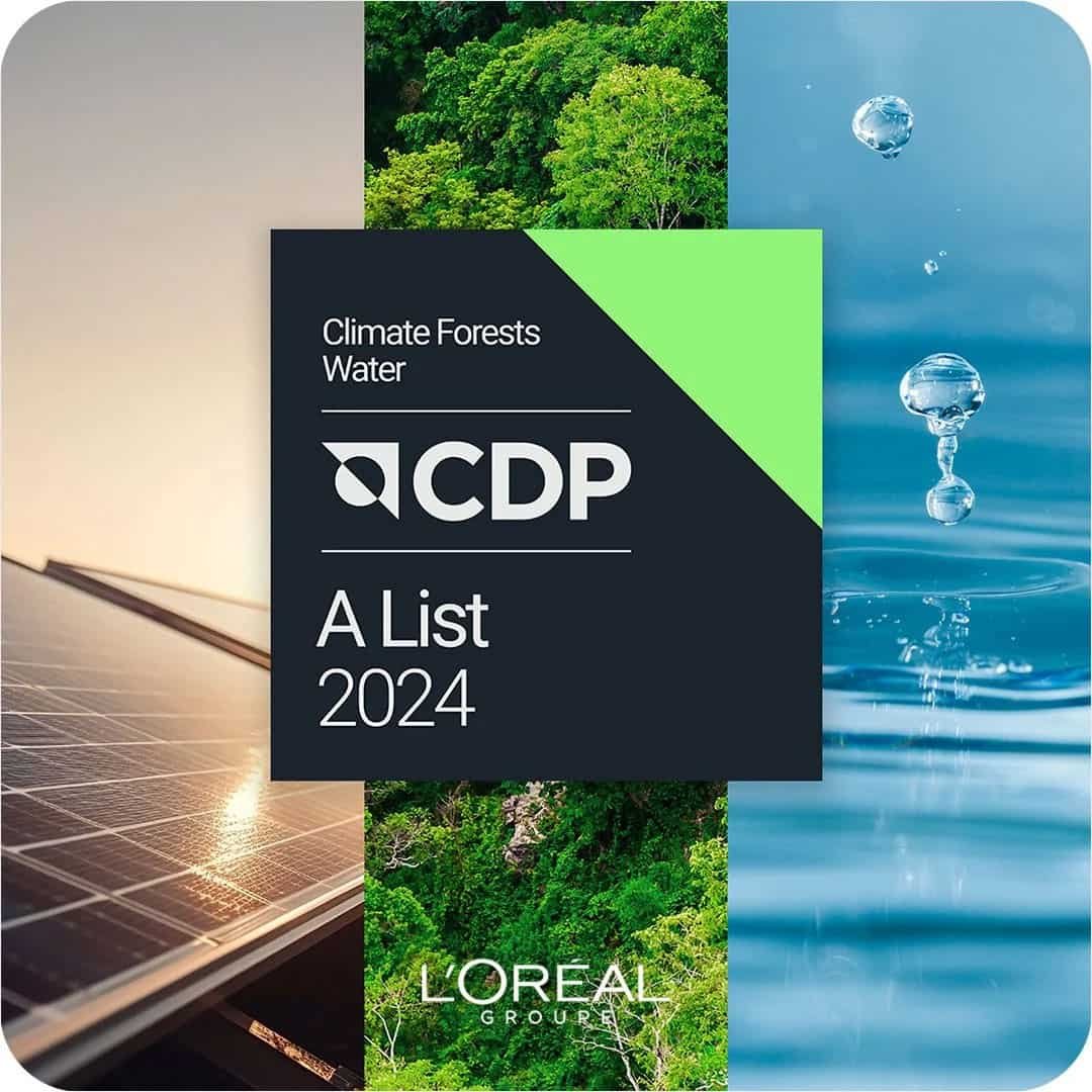 Climate Forest Water